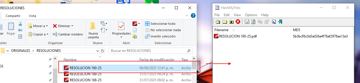 Ventana de HashMyFiles mostrando el hash MD5